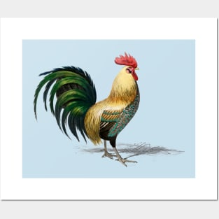 Rooster Posters and Art